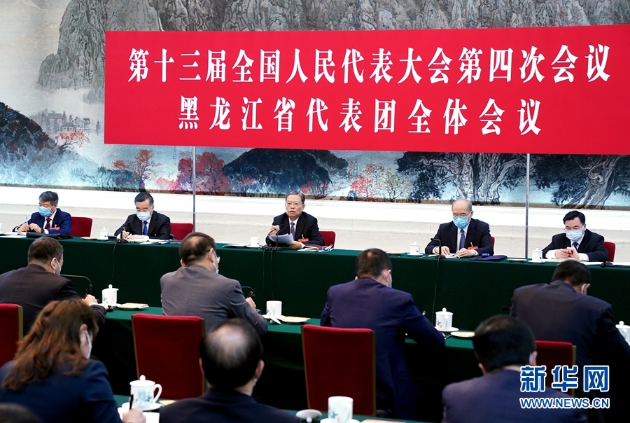 （兩會受權發布）趙樂際參加黑龍江代表團審議