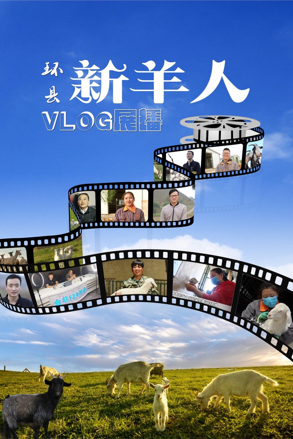 【環縣“新羊人”VLOG展播】劉小兵：種羊專業養殖帶頭人