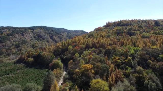 合水縣深入開展造林綠化和生態建設 助推鄉村振興