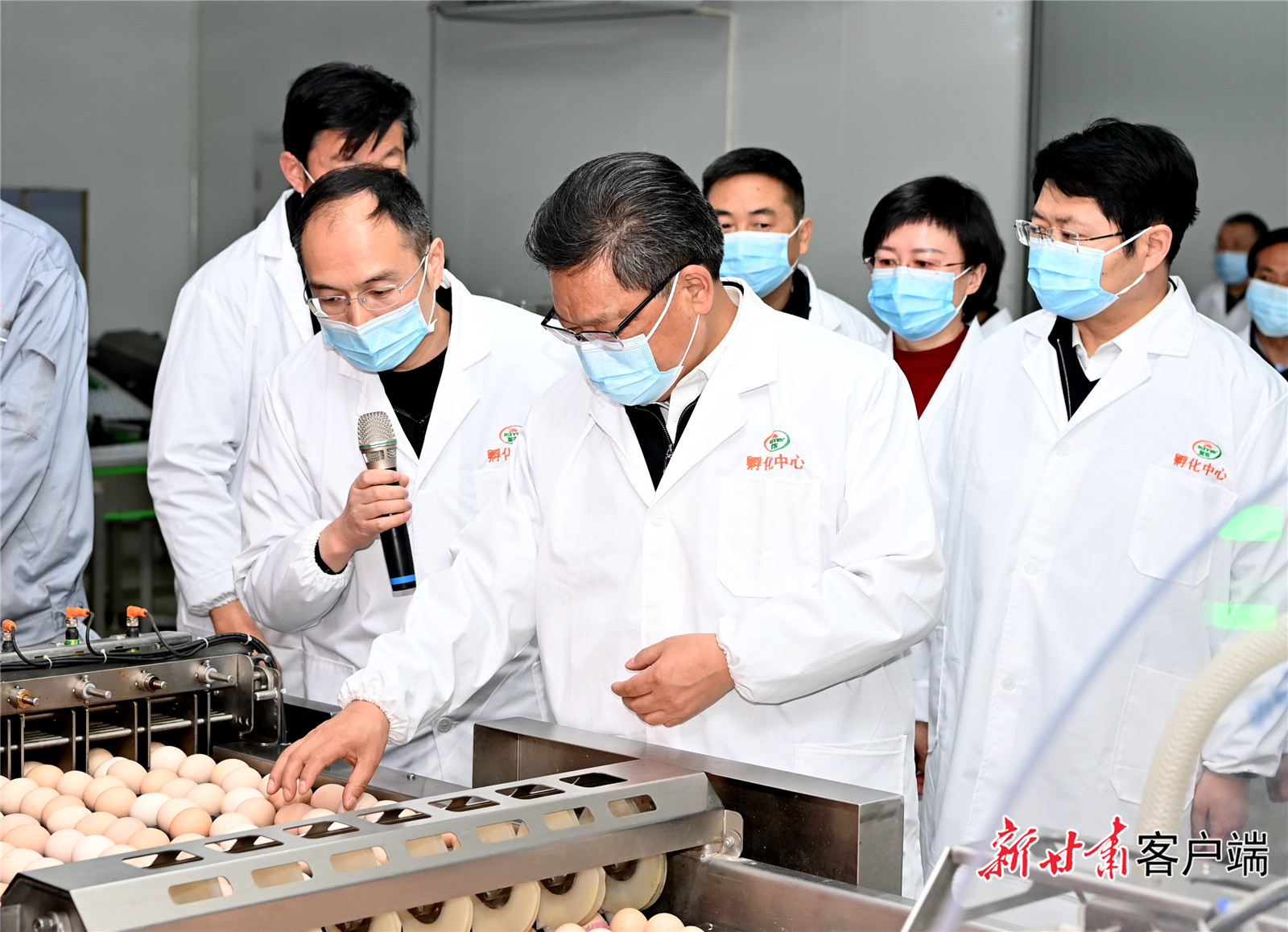 任振鶴在慶陽調研時強調：用新思想指引新征程，以新發展書寫新答卷，真抓實干推動新時代革命老區振興發展