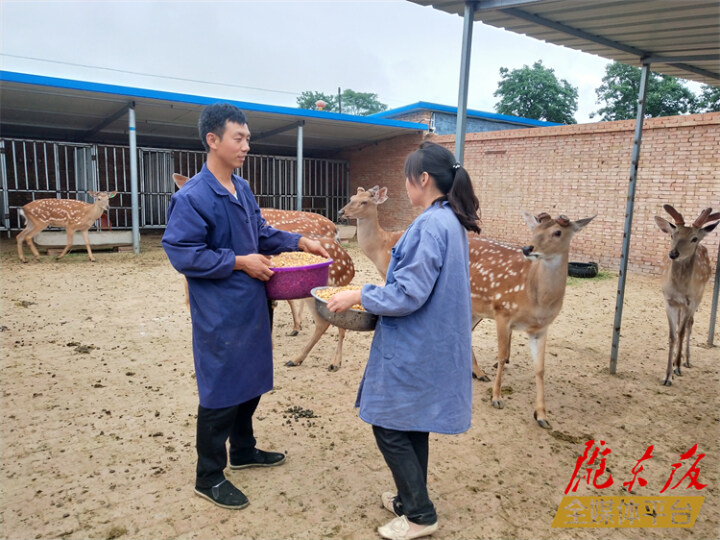 路孝成：闖出一條致富路 帶著鄉親一起富