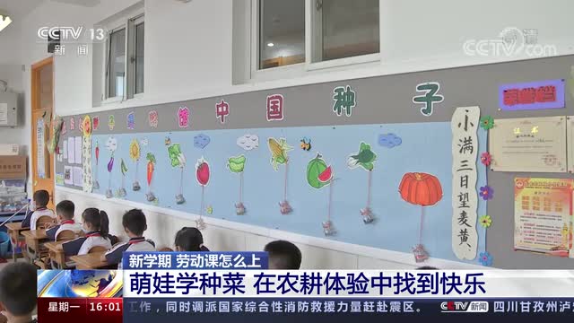 新學期，勞動課怎么上？央視《新聞直播間》關注北師大慶陽附校農耕體驗課