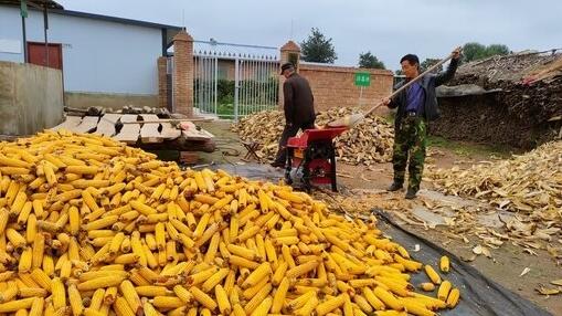 鎮原縣太平鎮蘭廟村：小山村的新活力