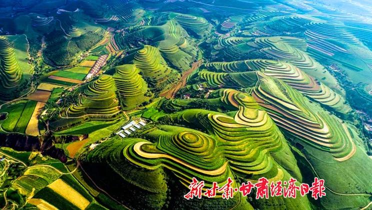 “羊”名立萬正當(dāng)時——環(huán)縣念羊經(jīng)、興羊業(yè)、發(fā)羊財促進鄉(xiāng)村振興發(fā)展