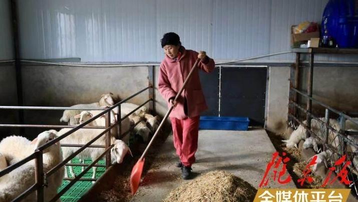 【新春走基層】“羊倌”夫妻靠雙手創造幸福生活