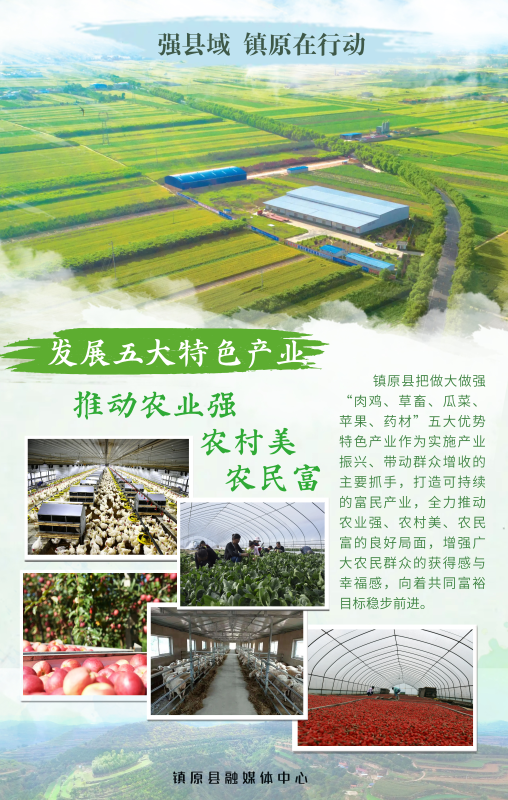 強縣域 鎮原在行動 | 發展五大特色產業 推動農業強 農村美 農民富