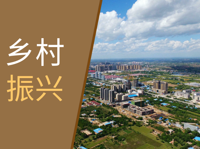 綠了山川 富了口袋——環縣以生態建設促進鄉村振興綜述