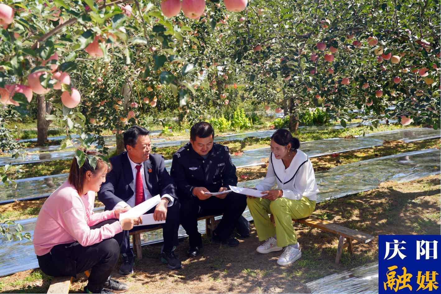 司法為民 服務群眾——甘肅慶城縣人民法院開展“為群眾辦實事示范法院”創建活動綜述