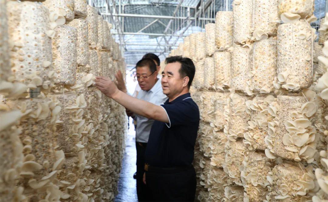 鄉村振興丨慶陽：打造農業現代化的“慶陽模式”