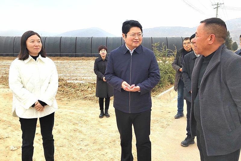 陳磊調研基層黨建、產業發展和項目建設工作