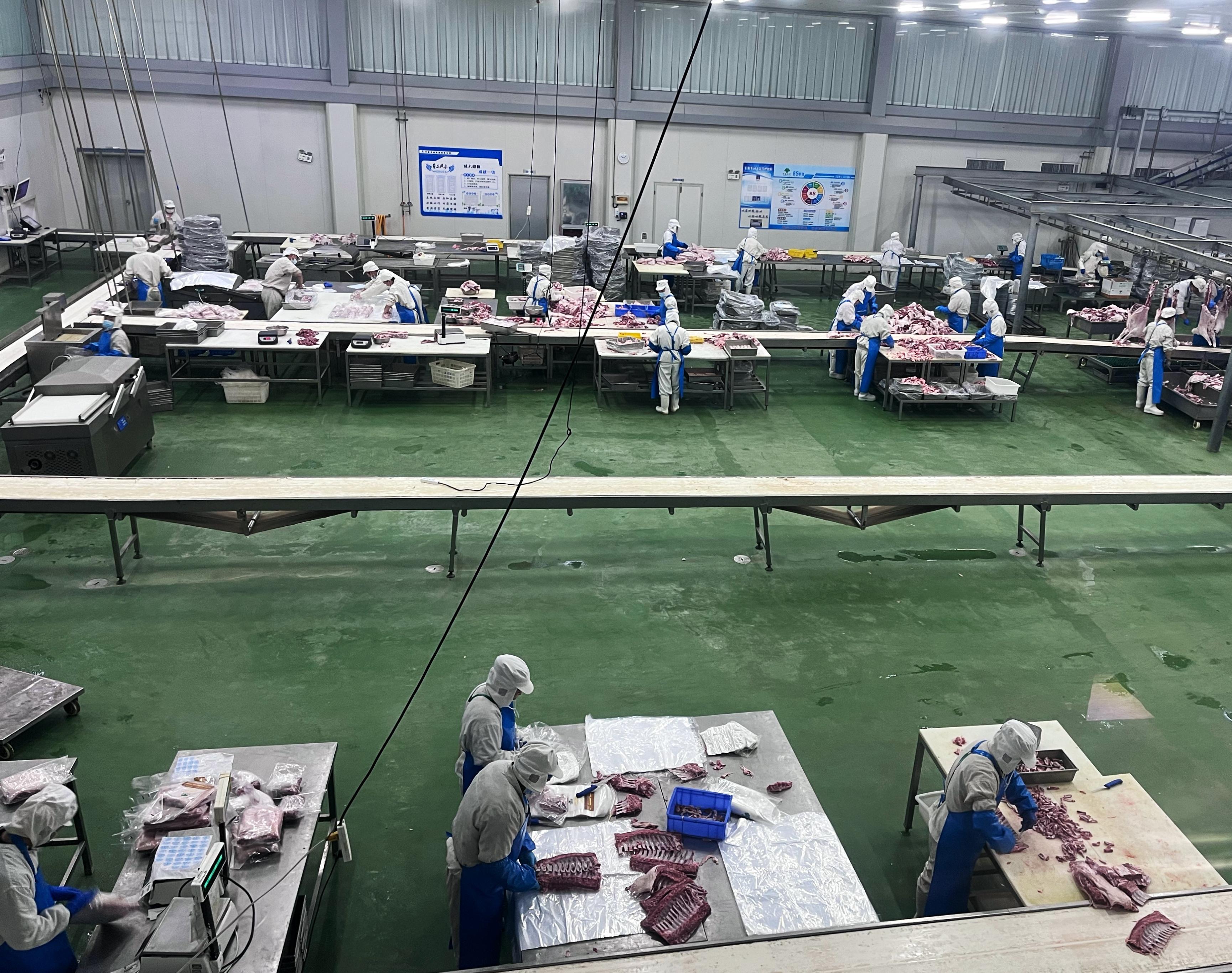 環縣：龍年開新局 節后企業復工忙