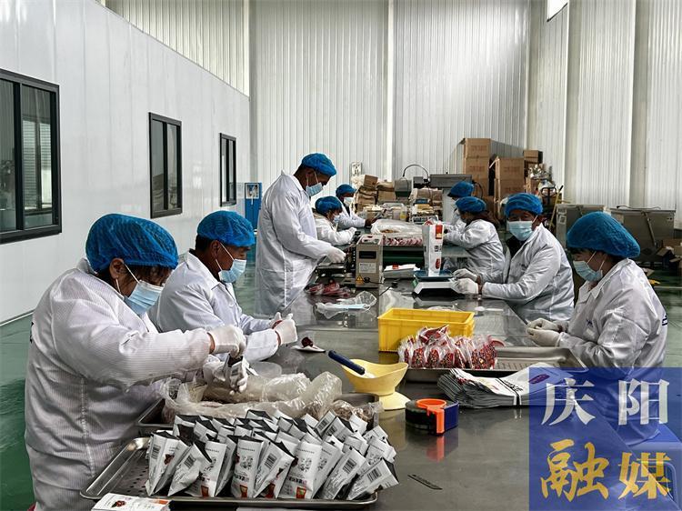 【春潮涌 繪新景】壯大特色優勢產業 繪就強村富民圖景——寧縣扎實推進鄉村振興工作紀實