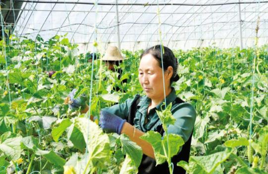 【春潮涌 繪新景】村美民富產業興 幸福生活“踏歌來” ——合水縣經濟社會高質量發展見聞