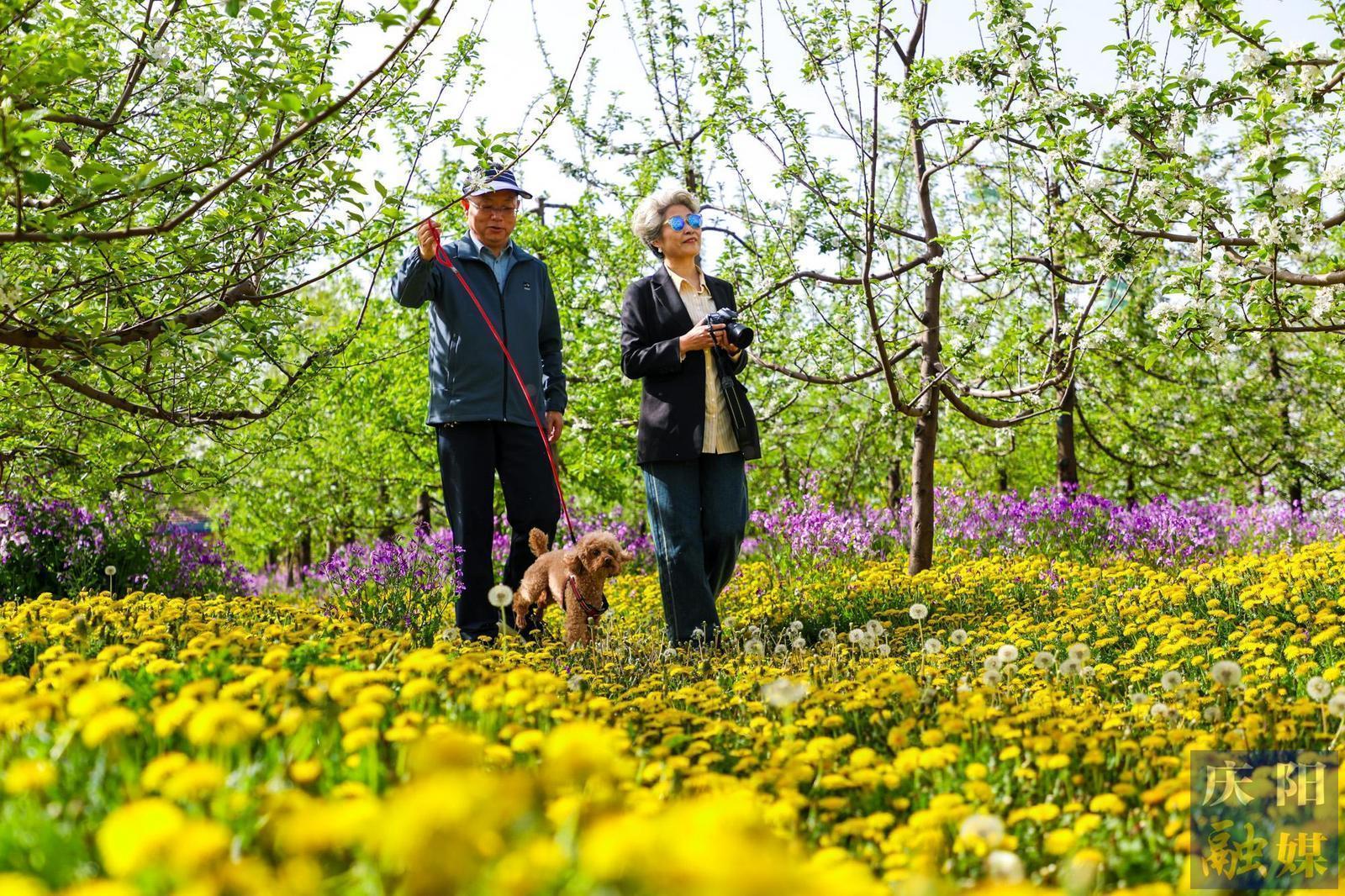 【攝影報道】夢幻果園醉游人 生態種植富果農