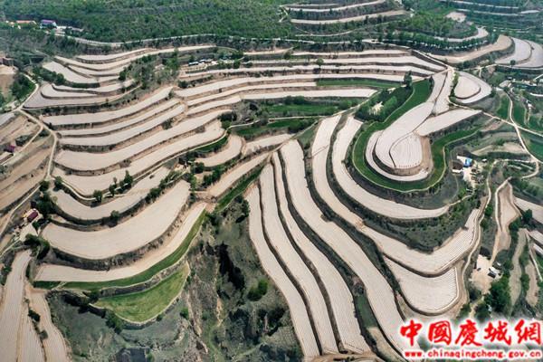 慶城縣持續推進高標準農田建設 夯實糧食安全根基