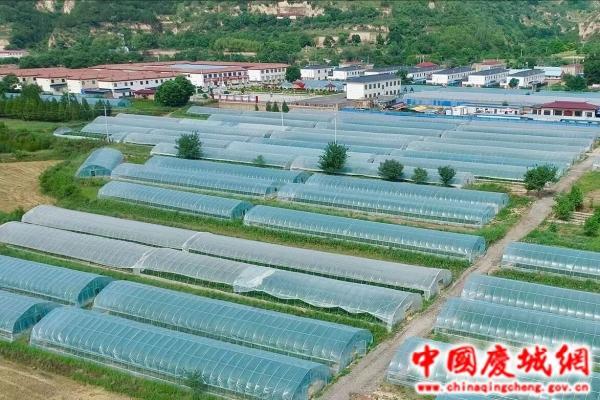 慶城縣優結構 穩面積 做強農業產業