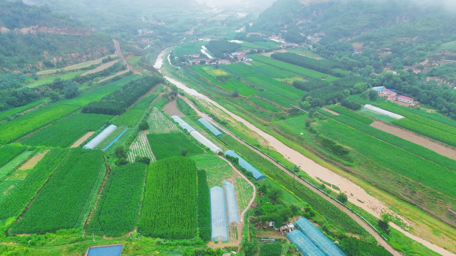 華池縣悅樂鎮：黨建引領村集體經濟一路繁花盛開
