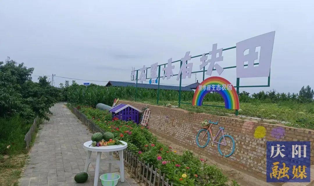 合水縣太莪鄉黑木村：引游到鄉村 風景變“錢”景
