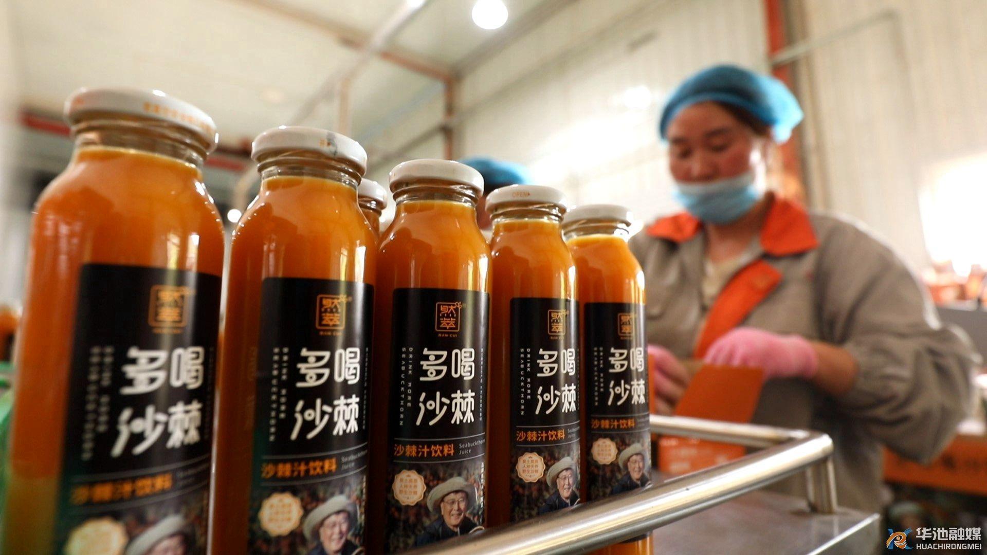 華池：?隴上高原植新綠 東西協作結碩果