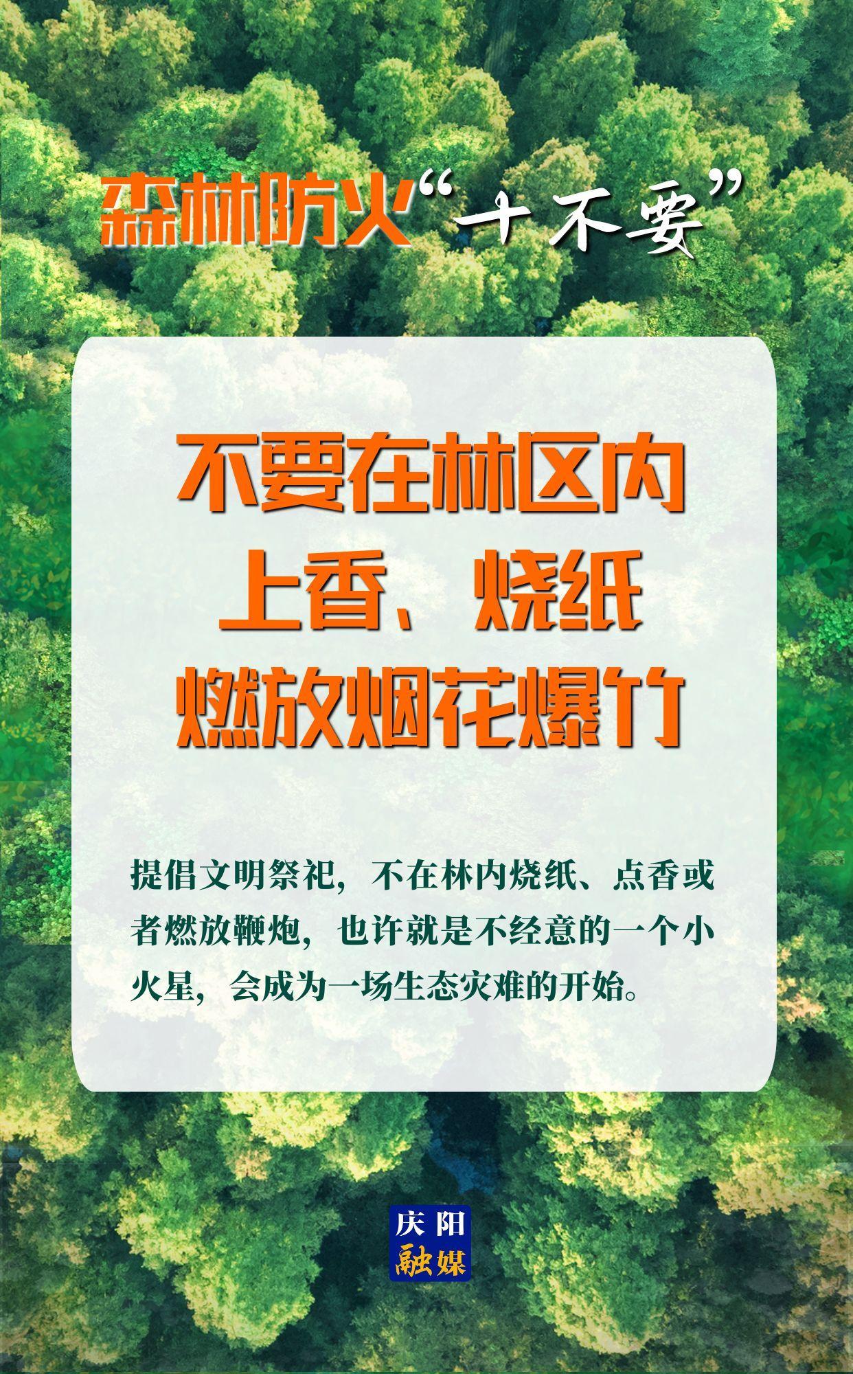 【微海報】森林防火“十不要”④丨不要在林區內上香、燒紙、燃放煙花爆竹