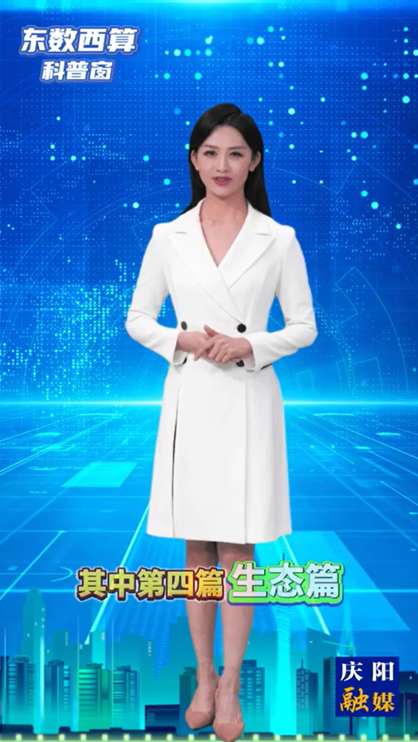 【東數西算科普窗(10)】慶陽“東數西算”工程的“1+2+N”產業生態體系是什么？