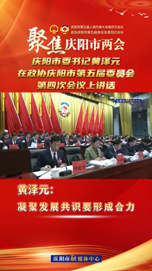 兩會V視(21) | 黃澤元：凝聚發展共識要形成合力