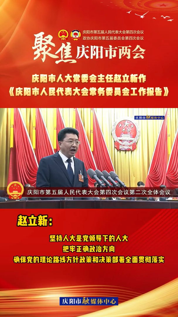 兩會V視(28)丨趙立新：堅持人大是黨領導下的人大，把牢正確政治方向，確保黨的理論路線方針政策和決策部署全面貫徹落實