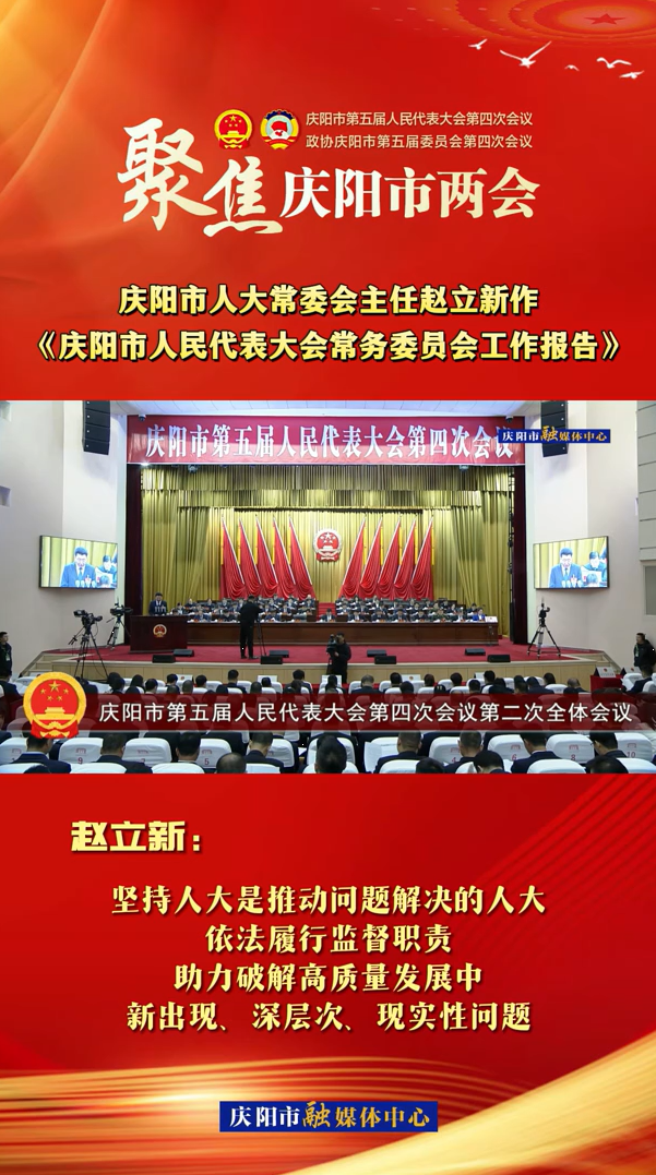 兩會V視(29)丨趙立新：堅持人大是推動問題解決的人大，依法履行監(jiān)督職責，助力破解高質量發(fā)展中新出現、深層次、現實性問題