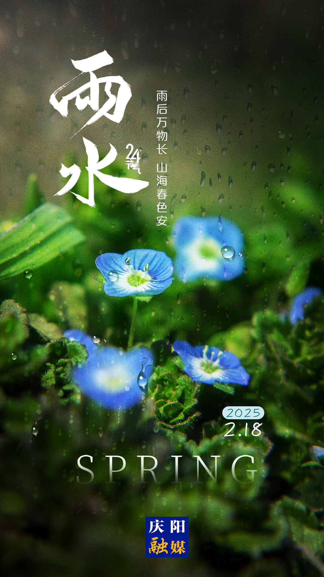 【二十四節氣·雨水】長圖 | 好雨知時節 當春乃發生