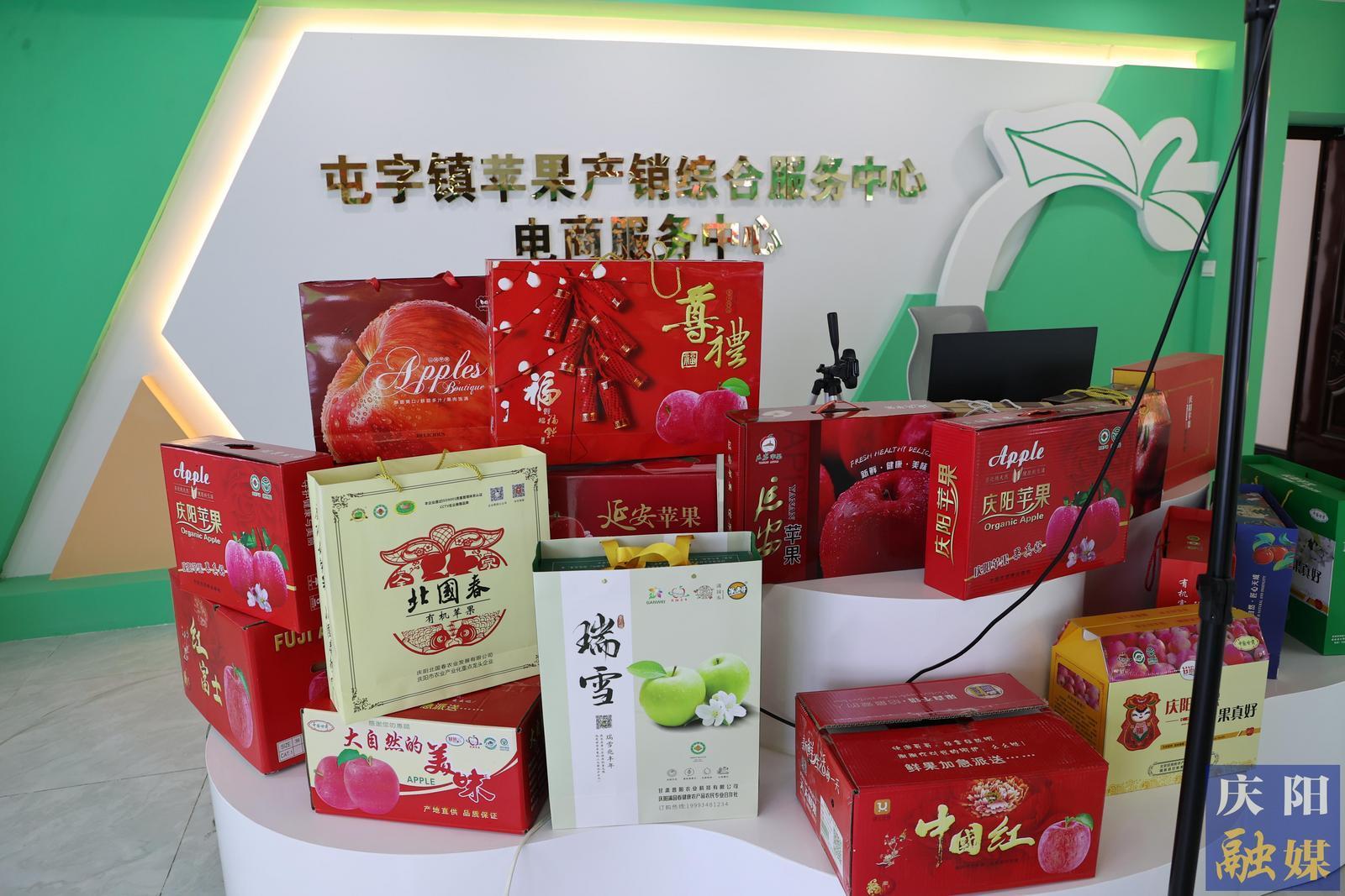 【攝影報道】鎮原縣甘旭果品專業合作社：蘋果全鏈發展 引領鄉村產業振興