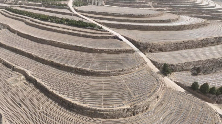 鎮原縣殷家城鄉：頂凌覆膜正當時 春耕備耕搶先機