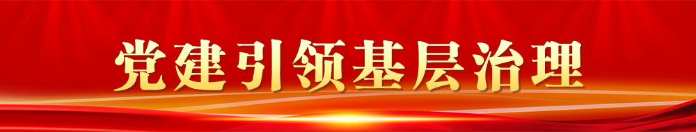 黨建引領基層治理
