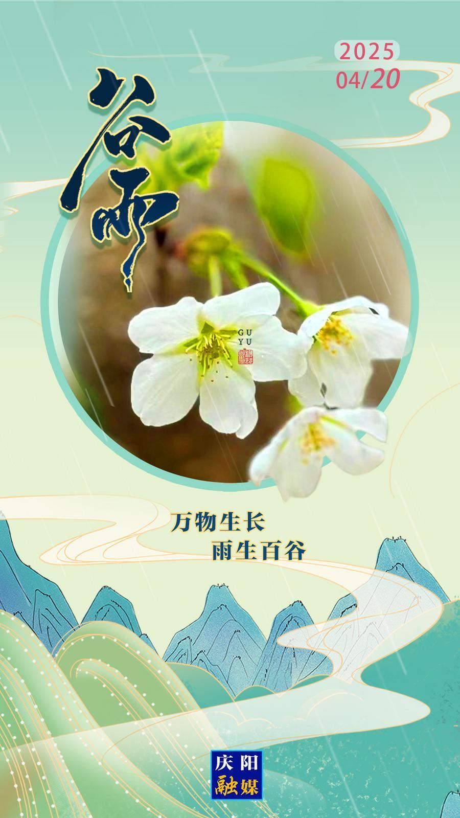 【微海報】二十四節氣·谷雨 | 雨生百谷  萬物生長