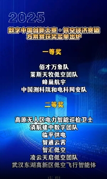 【V視】2025數字中國創新大賽·低空經濟賽道方案賽獲獎名單公布