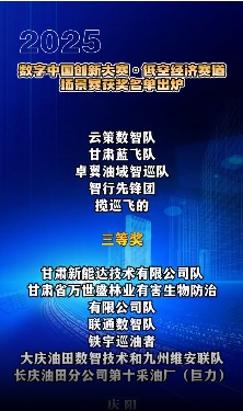 【V視】2025數字中國創新大賽·低空經濟賽道場景賽獲獎名單出爐