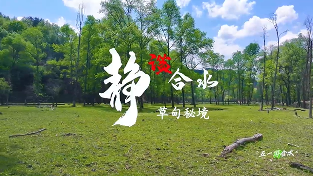 【五一游慶陽】靜謐合水︱合水縣太莪鄉草甸秘境等你來打卡！
