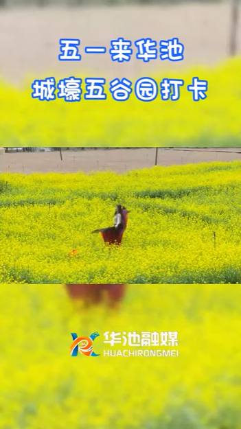 【五一游慶陽】歡迎來華池城壕五谷園打卡！！