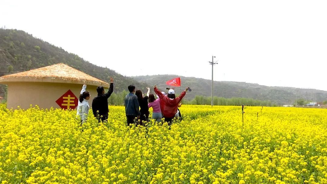 華池縣城壕鎮：農文旅融合繪就鄉村新圖景