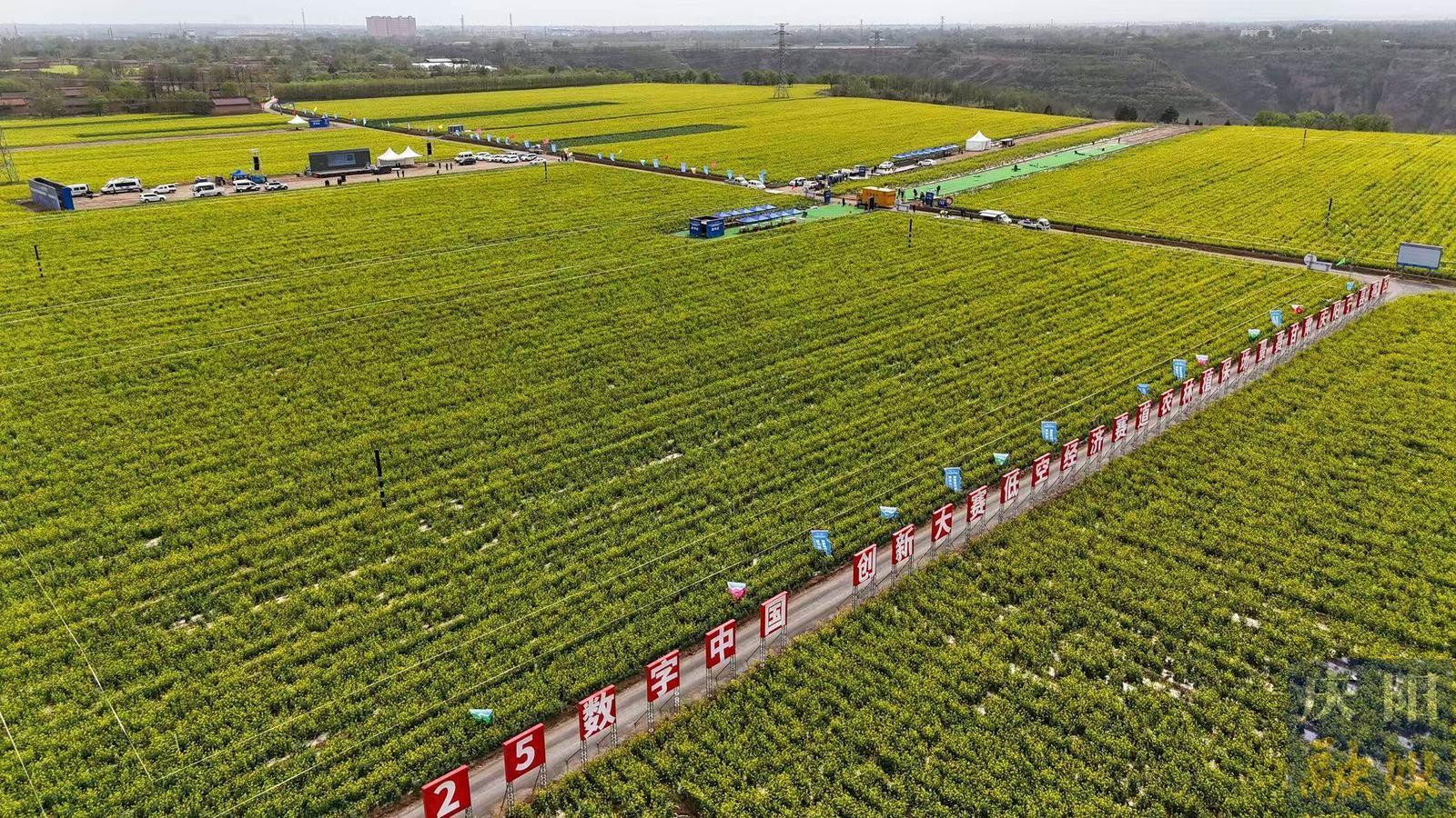 技術突破 產業集聚——賽事舉辦為低空經濟發展提供“慶陽方案”
