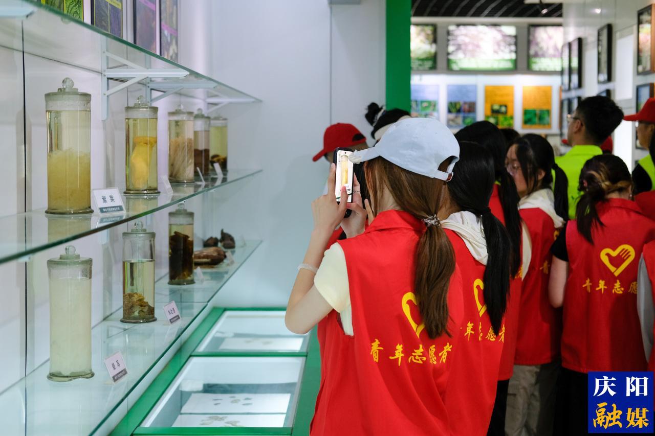 萬物共生 和美永續丨慶陽市舉辦國際生物多樣性日主題活動
