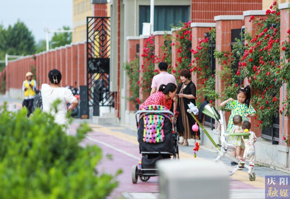 【攝影報道】薔薇花開！邂逅夏日的浪漫