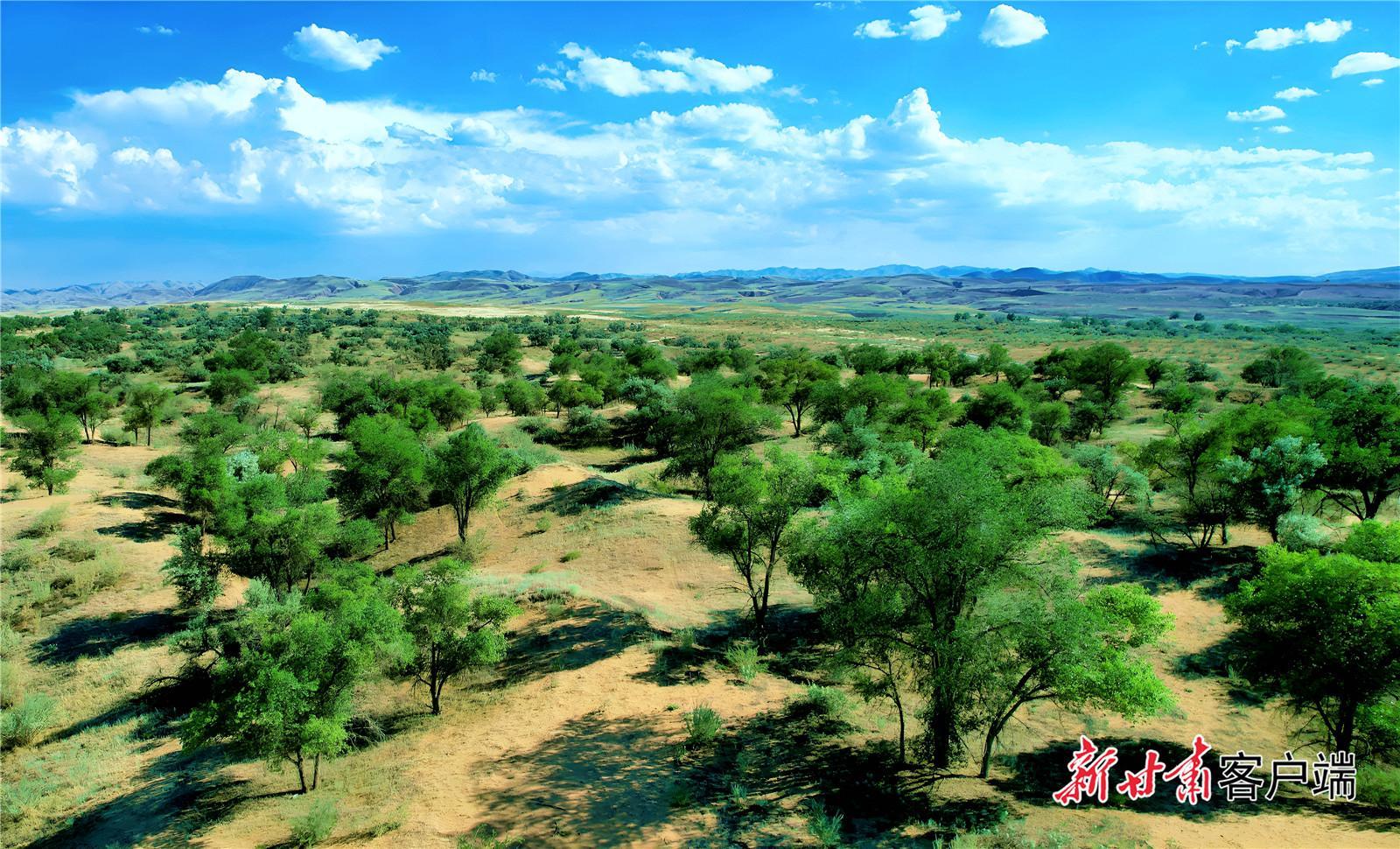 【建設美麗甘肅 推進“三北”工程 構筑“綠色長城”】古浪：譜寫綠色篇章 繪就生態畫卷