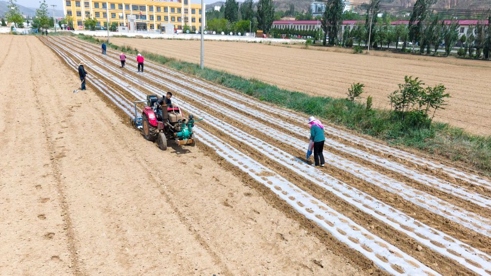 人工增雨、搶墑播種、送水上門——甘肅全力抗旱保障群眾生產生活