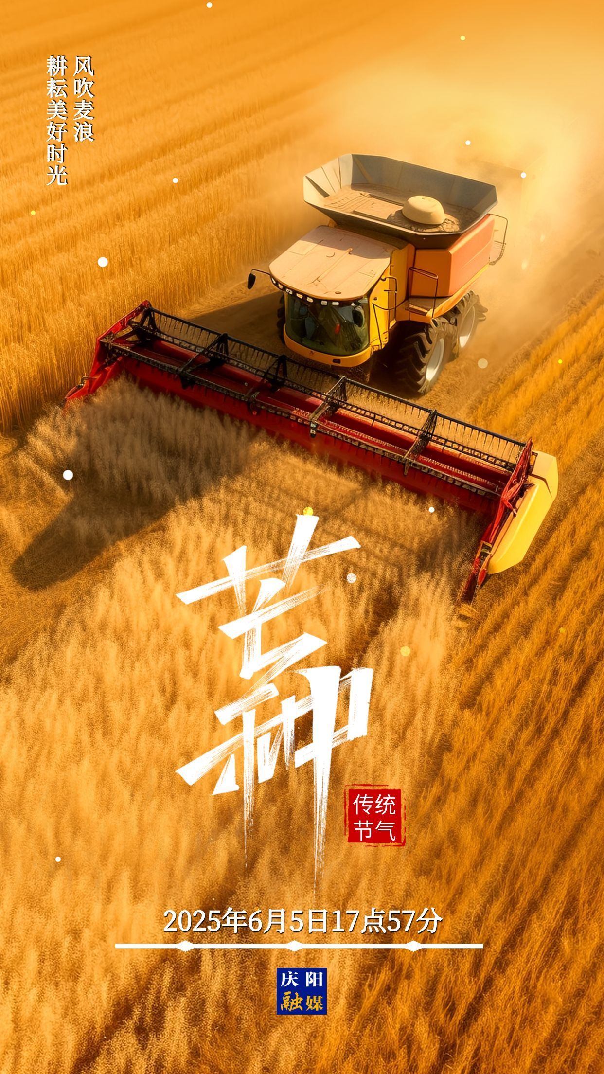 【微海報】芒種 | 芒種時節麥兒香 四野金黃麥翻浪