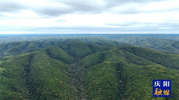 慶陽創新模式打贏黃河“幾字彎”生態攻堅戰 筑牢西部生態屏障