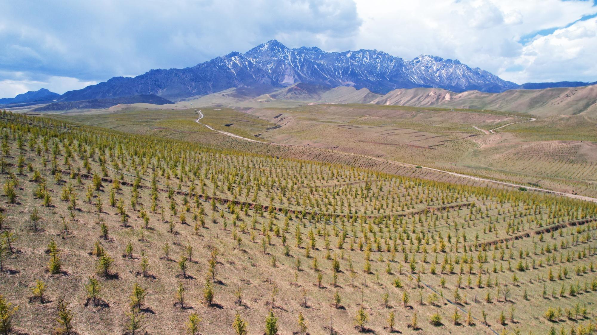 甘肅張掖民樂：厚植生態底色 繪就綠色發展新圖景
