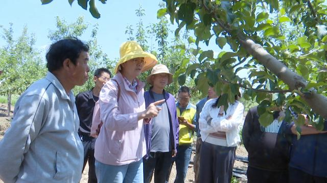 合水縣肖咀鎮：強化果園管理培訓 夯實果產業發展根基