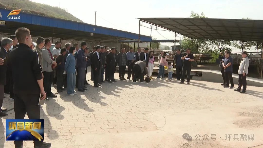 隴原人才基層行畜牧專家為環縣羊產業“開良方”“賦新能”